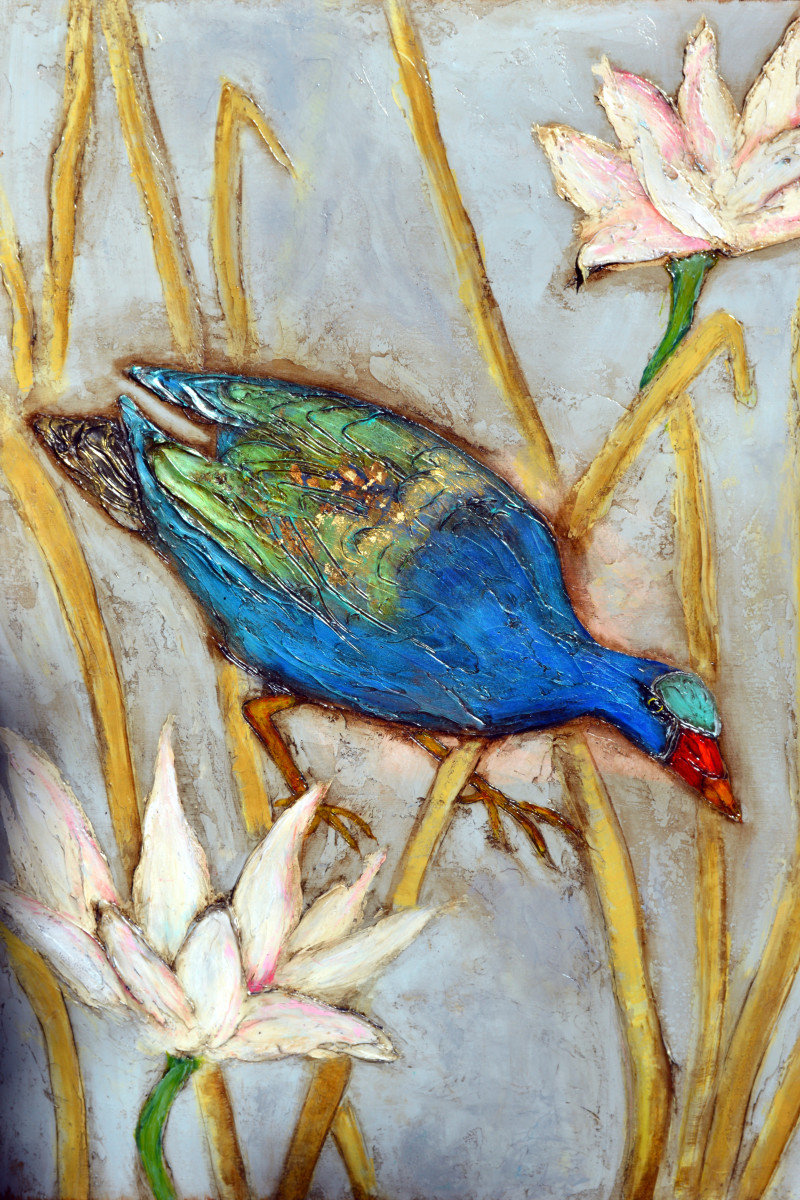 Florida Gallinule by Anne Hempel 