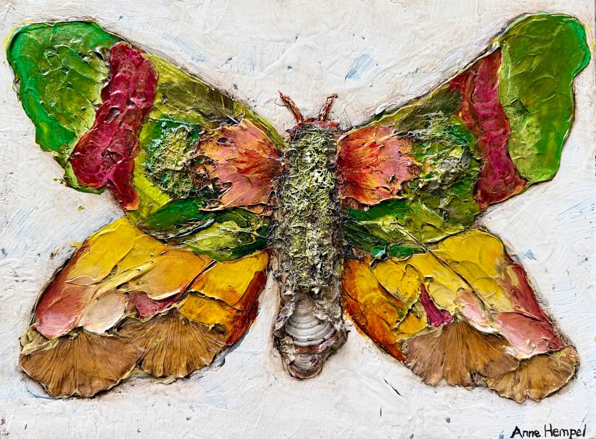 Green Wing-tipped Moth by Anne Hempel, Image 1.