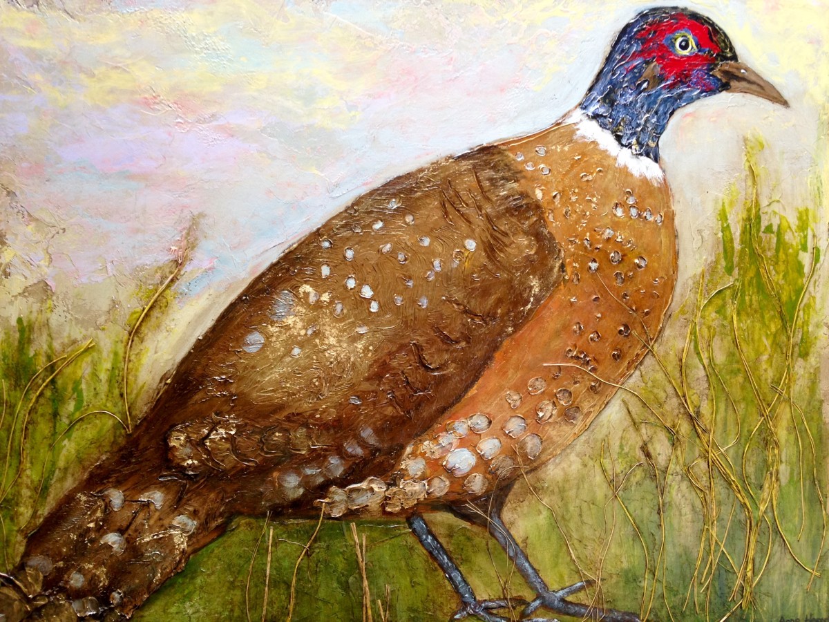 Golden pheasant by Anne Hempel 