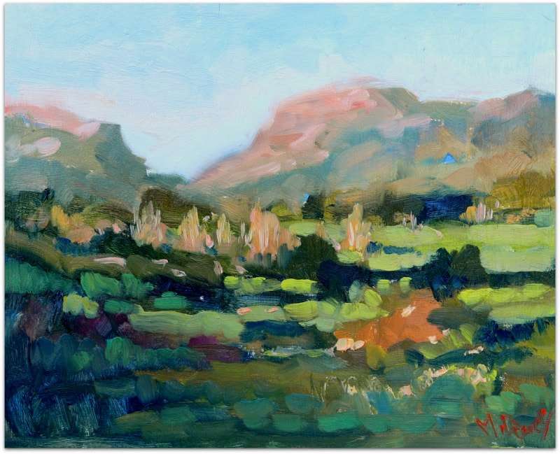 Karoo After the Rains by Malcolm Dewey, Image 1.