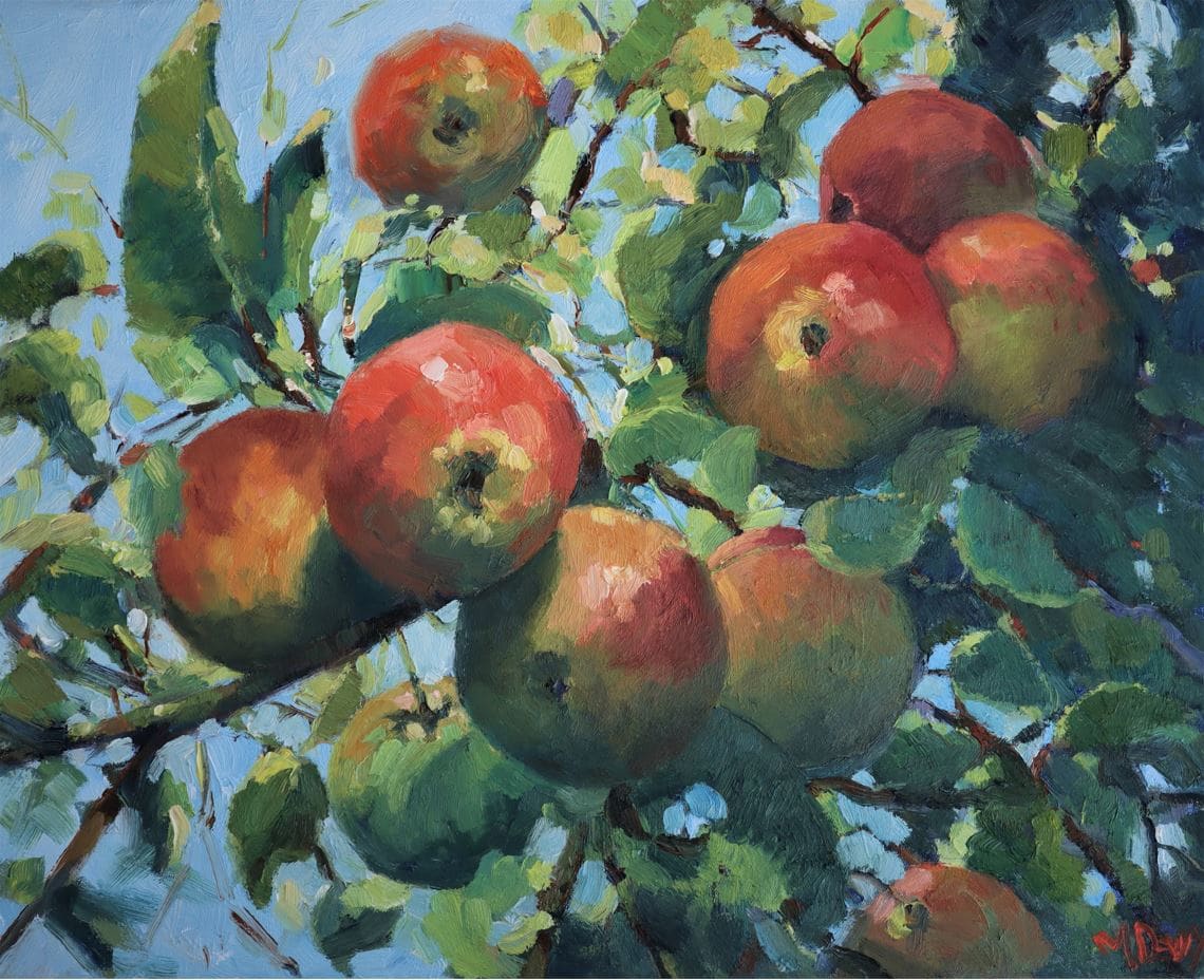 Apples by Malcolm Dewey 