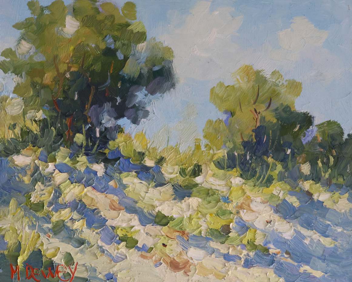 Desert Shade by Malcolm Dewey 