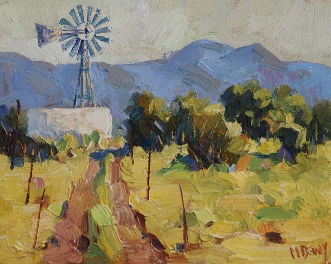 Karoo Farm Summer by Malcolm Dewey 