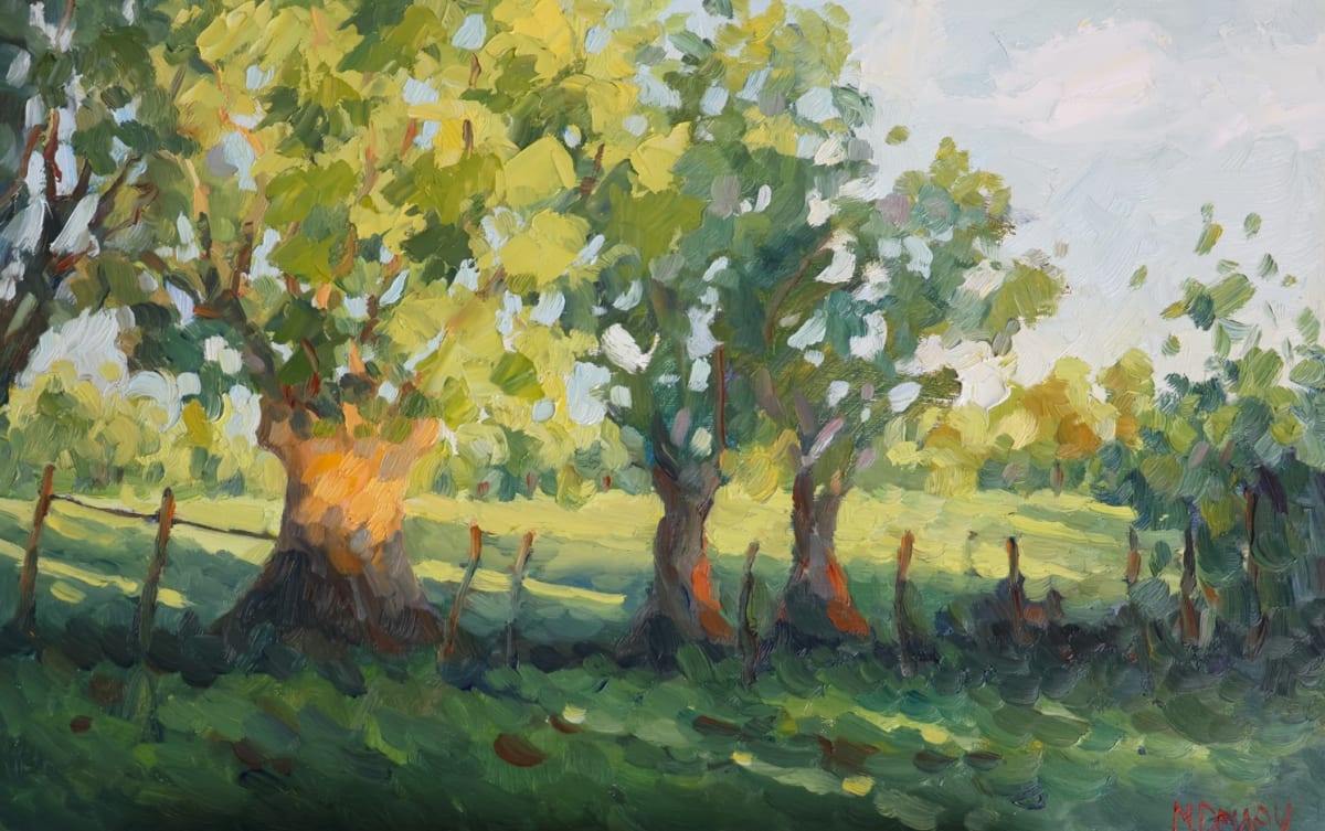 Meadow Light by Malcolm Dewey 