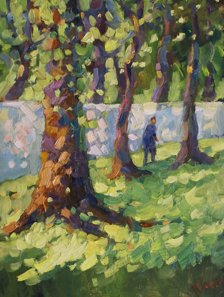 Oak Trees Boschendal by Malcolm Dewey 