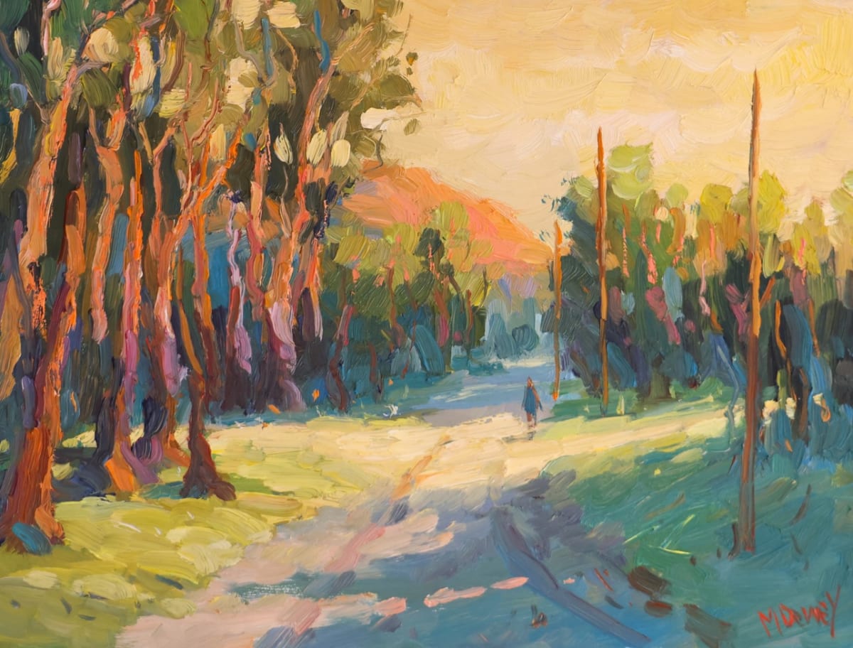 Overberg Sunset by Malcolm Dewey 