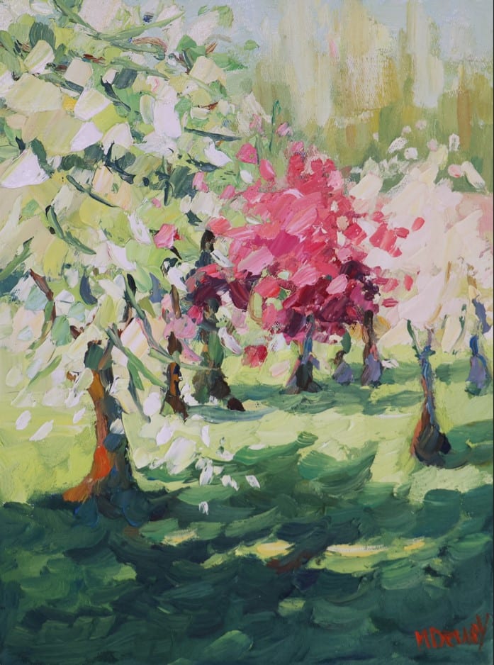 Spring Light by Malcolm Dewey 