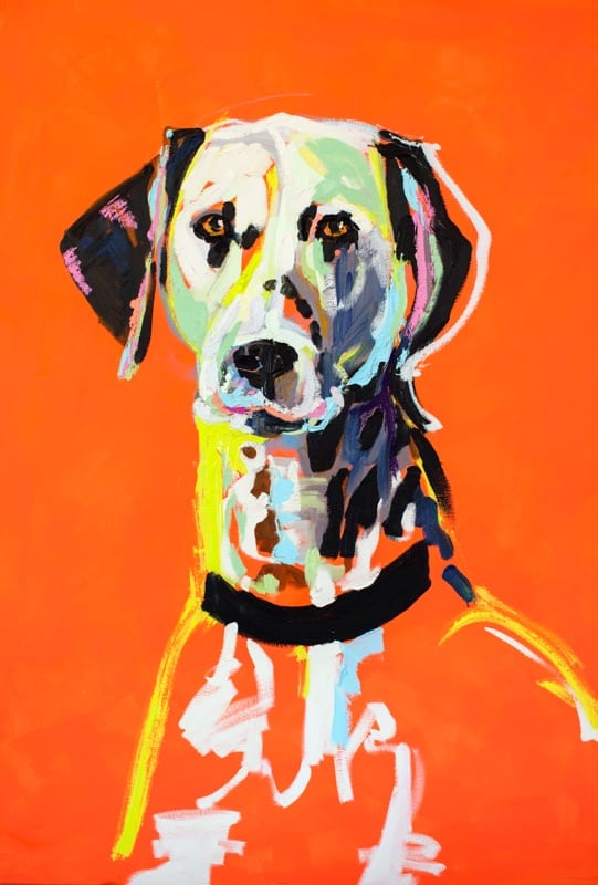 Dalmatian by warbehr, Image 1.
