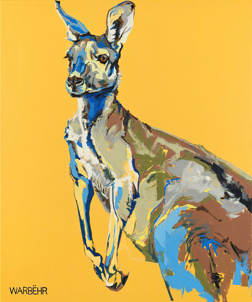 Eastern Grey Kangaroo, Image 1.