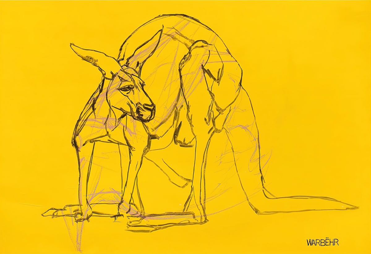 Kangaroo, Image 1.