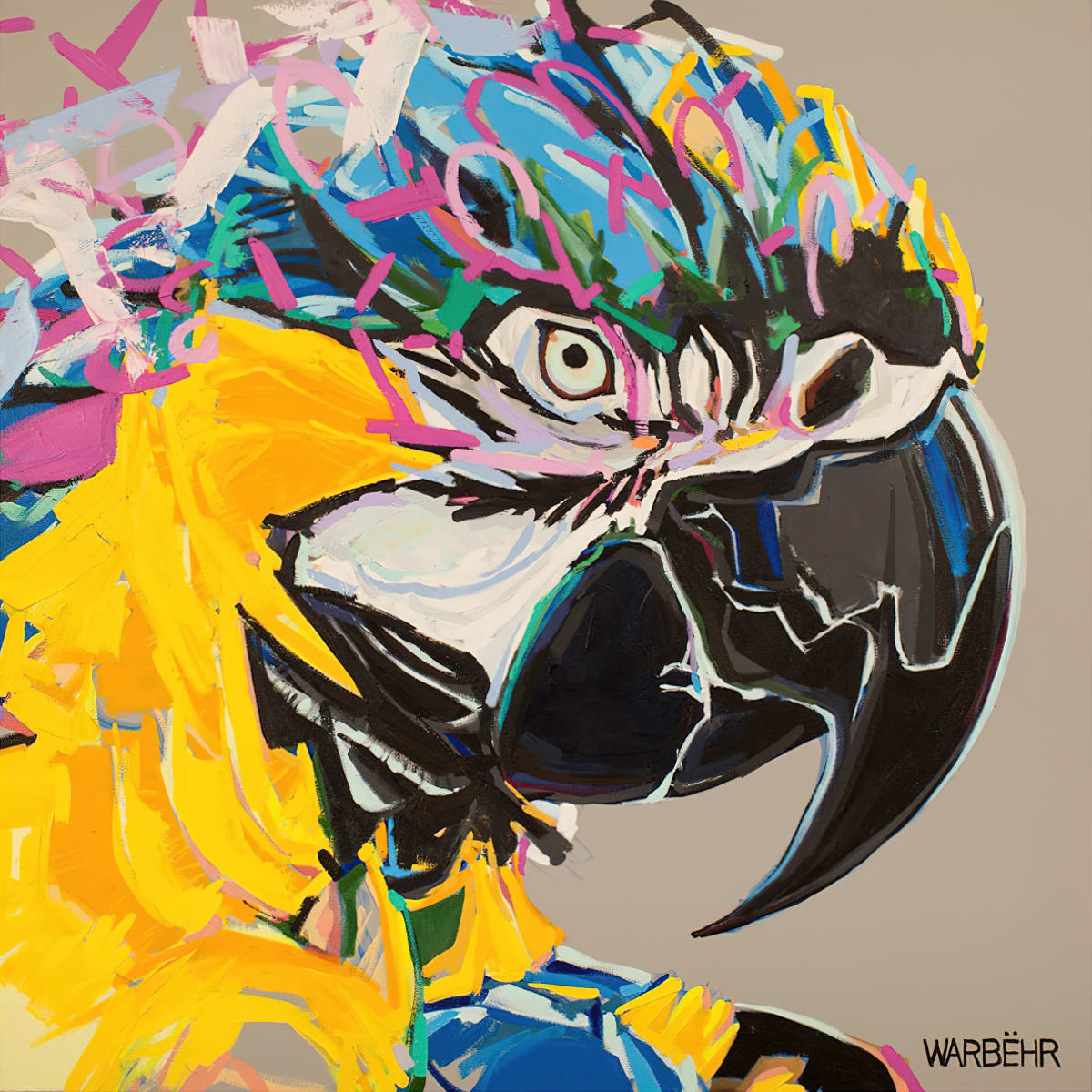 Macaw, Image 1.