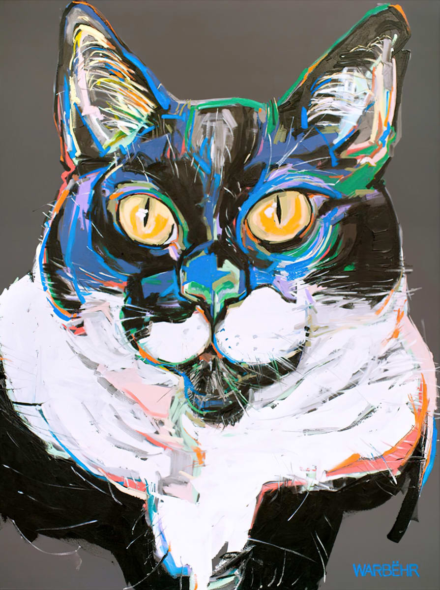 Mr Linguini, Image 1.