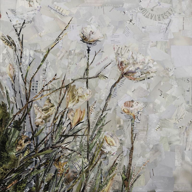 Clinging to a Cloud by Gina Torkos 