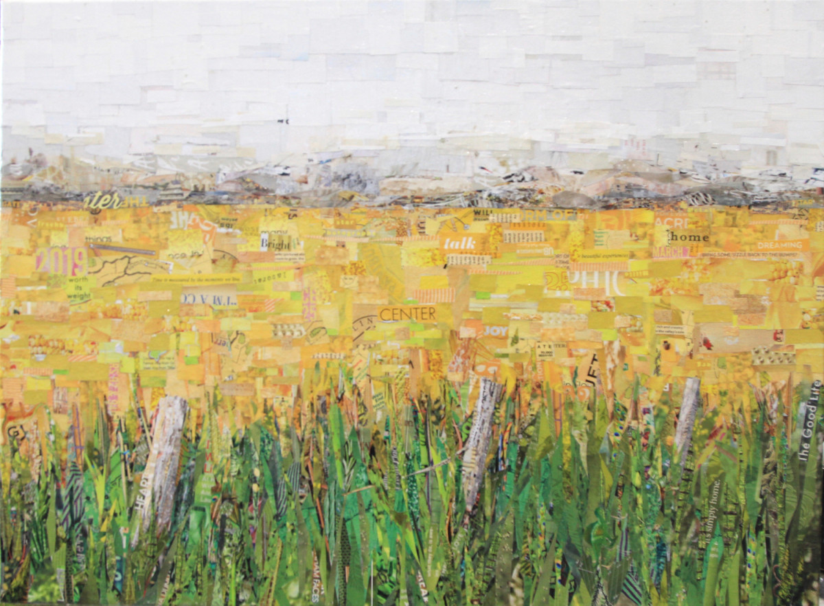 Fields of Gold by Gina Torkos 