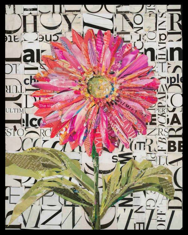 Gerbera Daisy by Gina Torkos, Image 1.