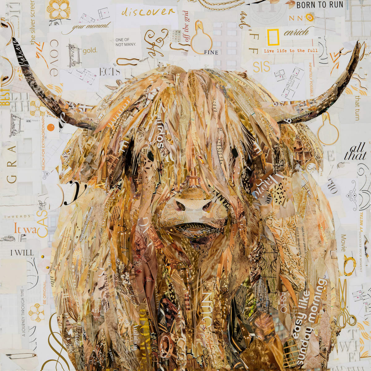 Highland  Coo by Gina Torkos  Image: Highland Coo 