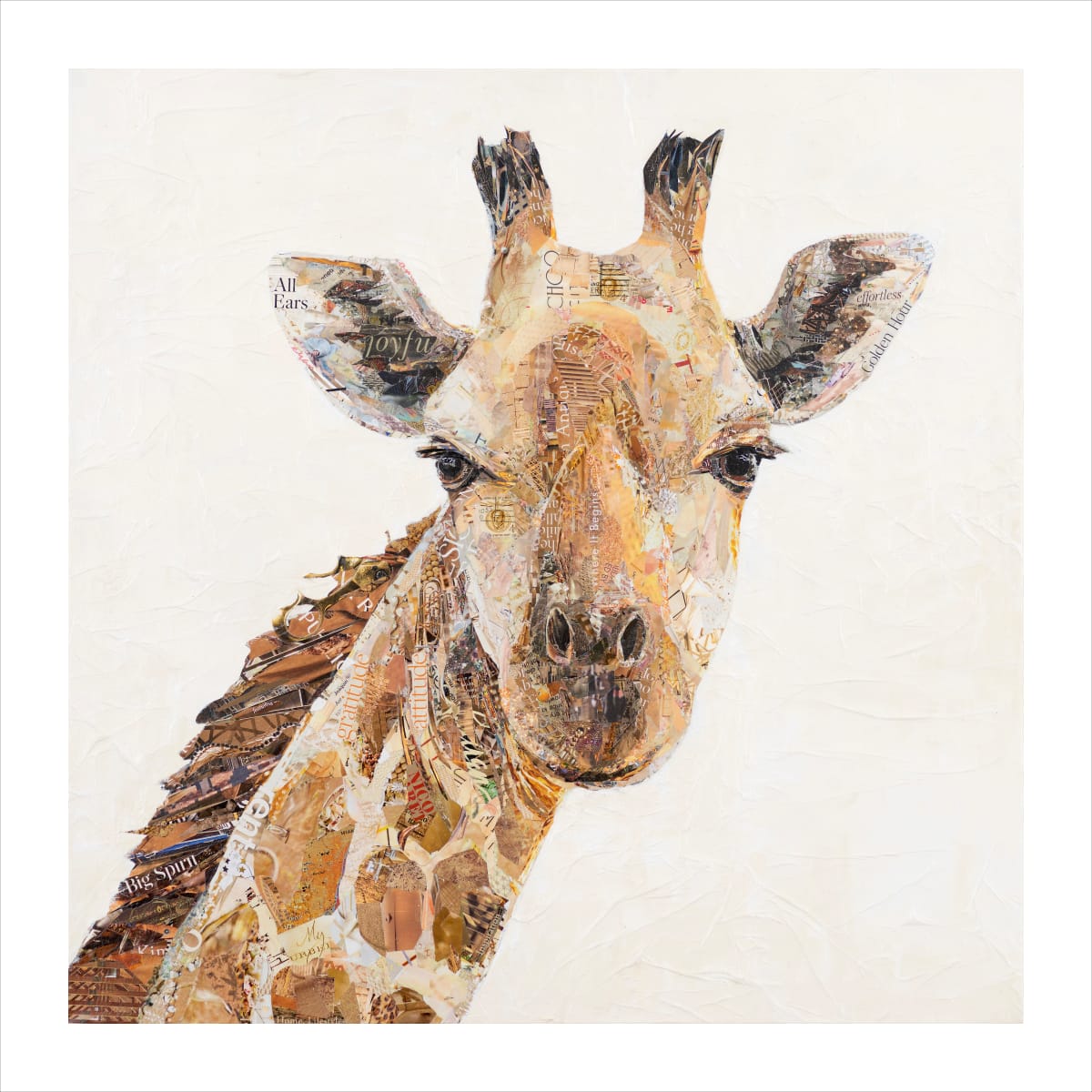 Higher Ground by Gina Torkos  Image: Higher Ground 