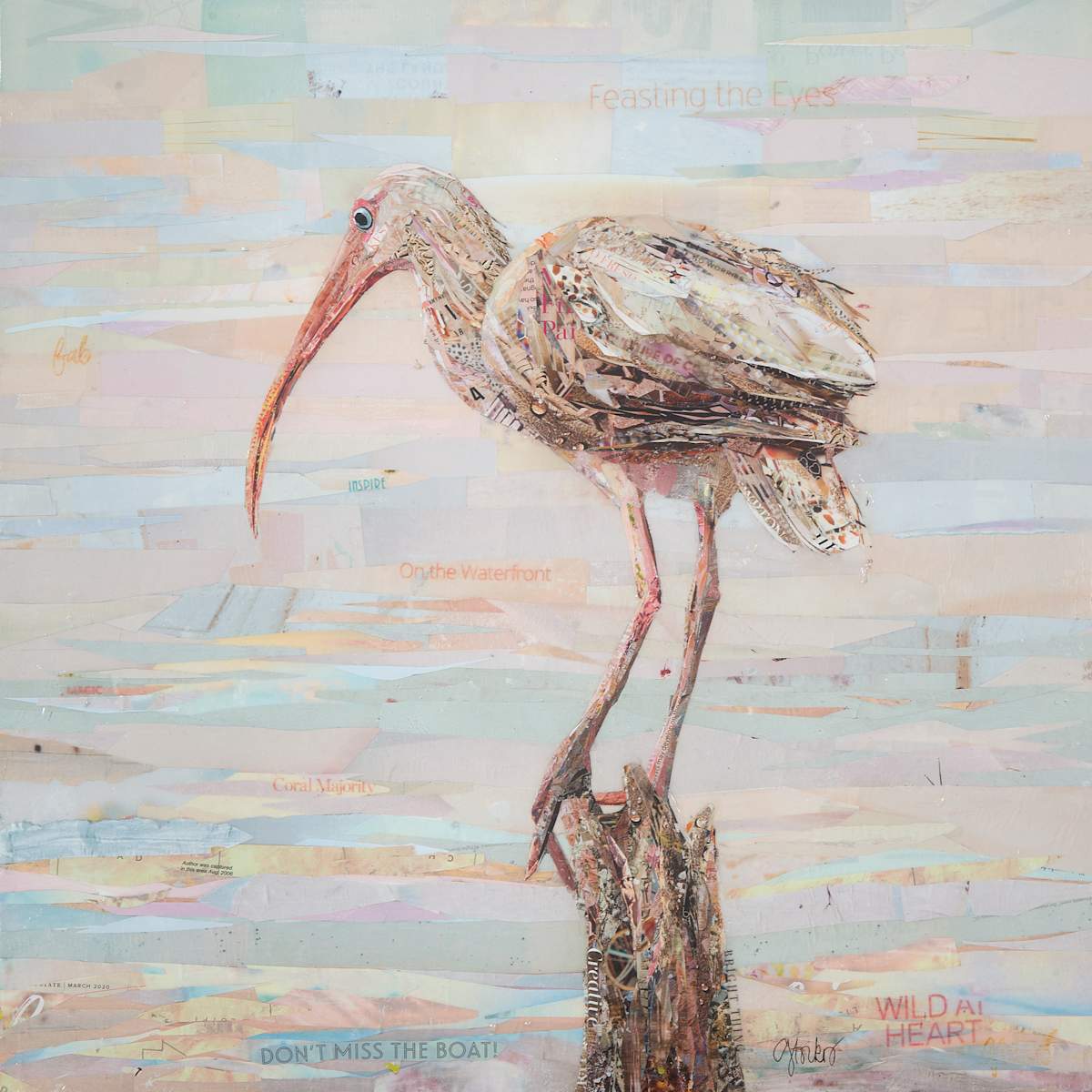 Ibis by Gina Torkos  Image: Ibis