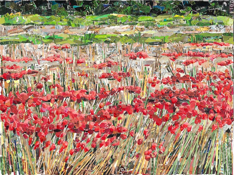 Poppy Field in Provence by Gina Torkos 