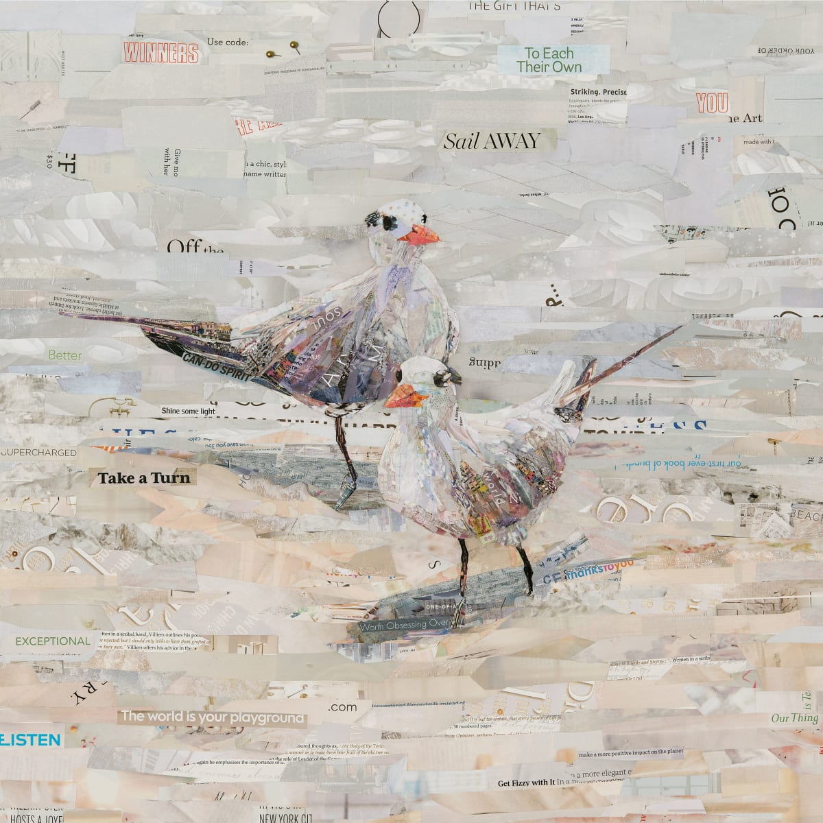 The Royal Terns by Gina Torkos 