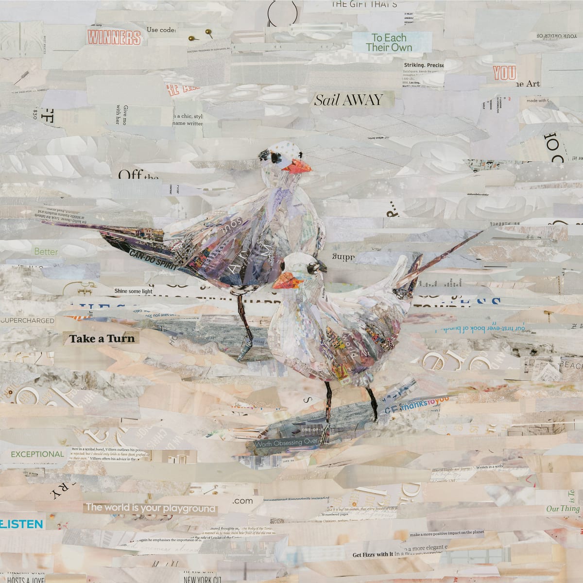 The Royal Terns by Gina Torkos, Image 1.