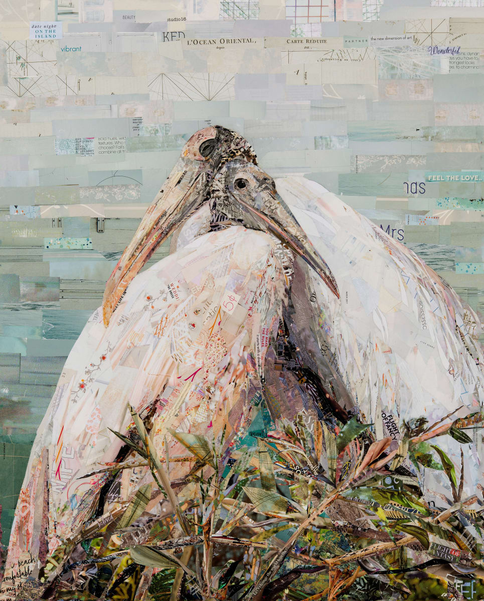 The Wood Storks by Gina Torkos, Image 1.