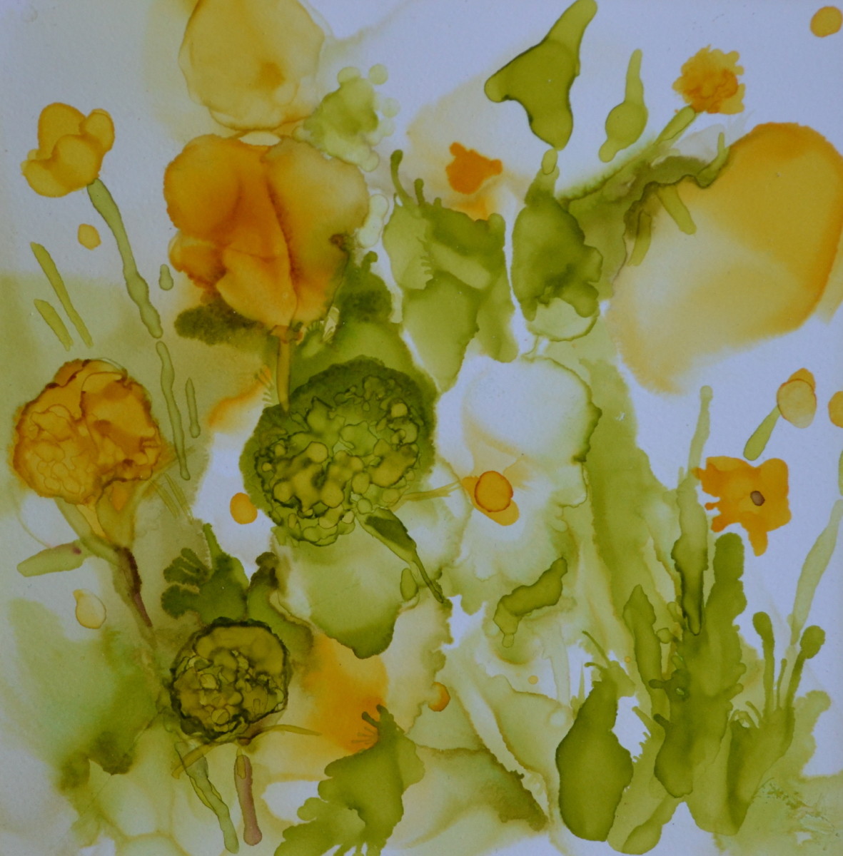 Wildflowers by Mary Wojciechowski 