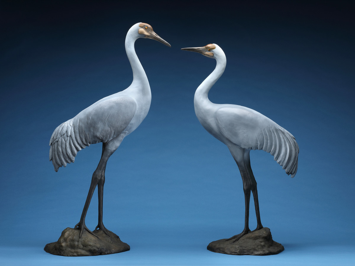 Sandhill Cranes by Cathy Ferrell 