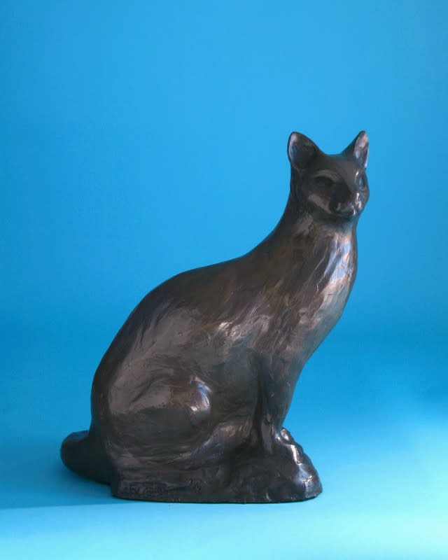 Siamese Cat by Cathy Ferrell 