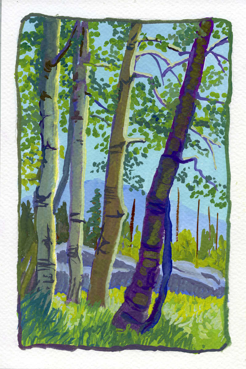 Aspens Near Glen Aulin by Faith Rumm 