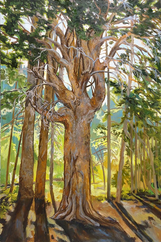 Oddity (Lodgepole Candelabra Tree, Lyell Canyon) by Faith Rumm, Image 1.