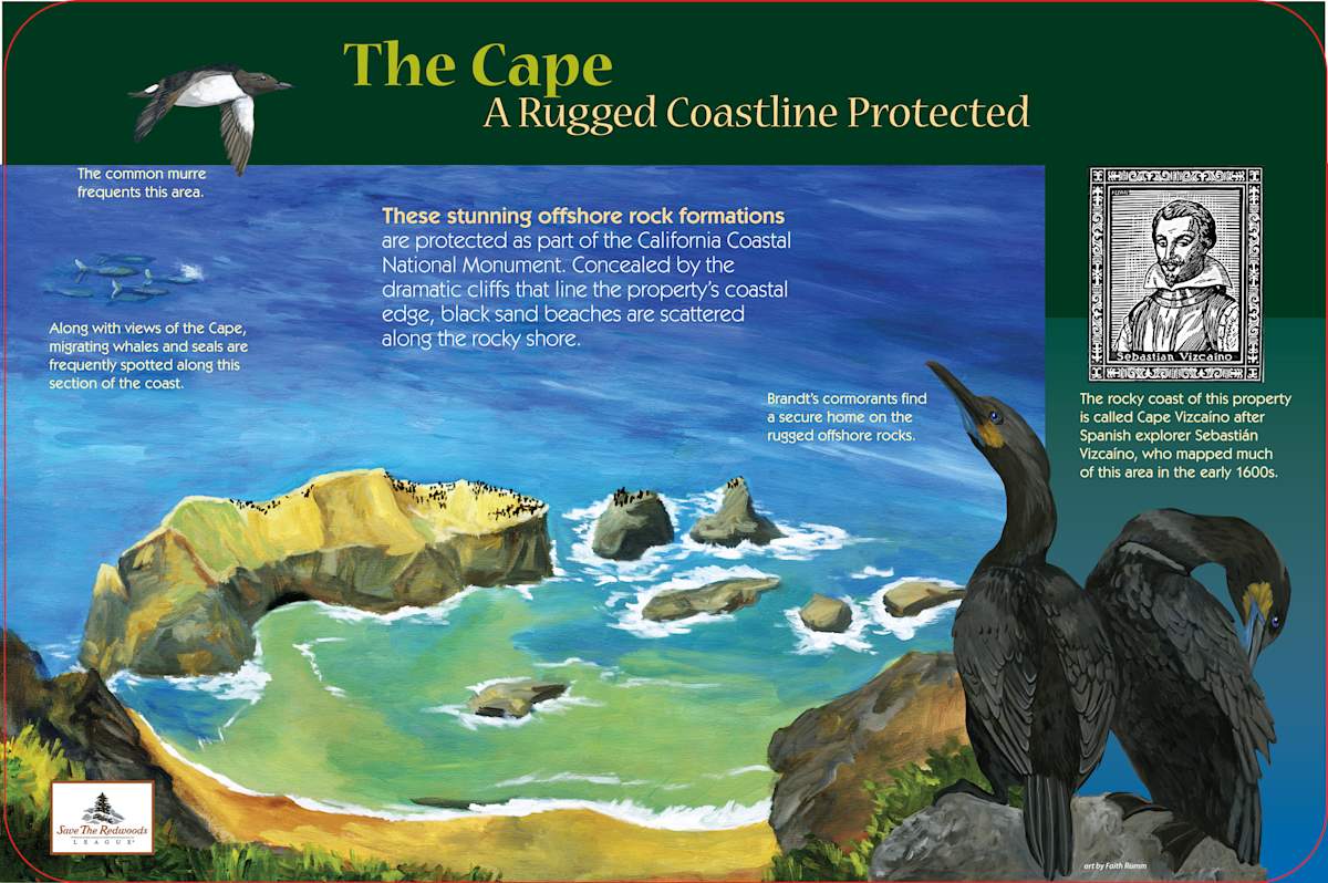 z Cape Vizcaino, Image 1.