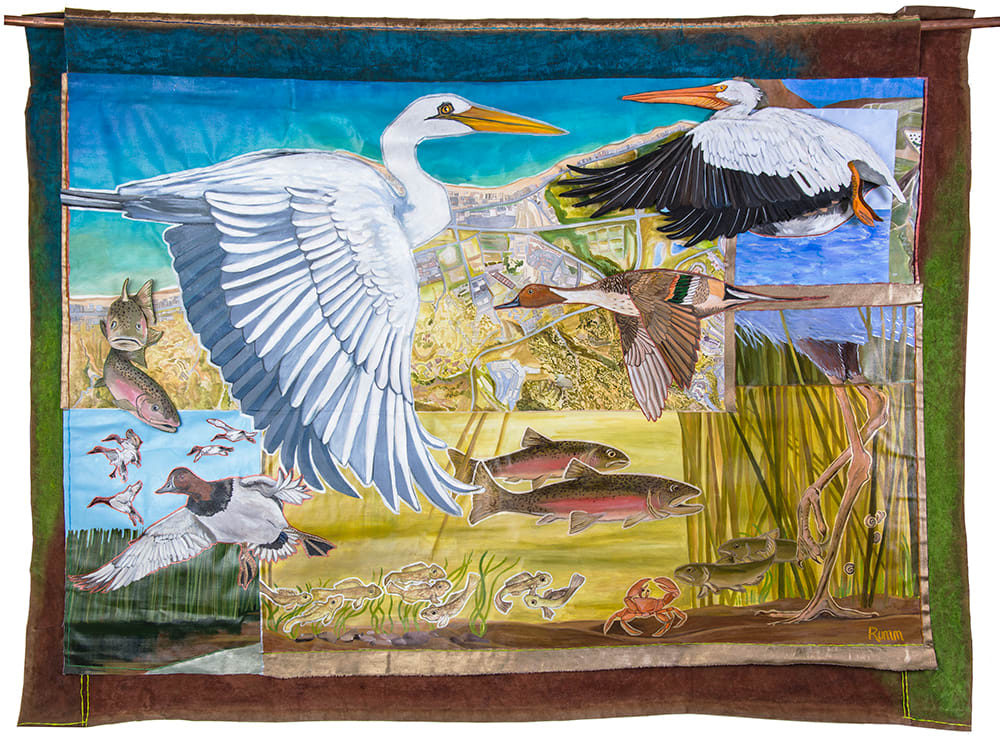 ZT Coast and Wetland Flyby by Faith Rumm, Image 1.