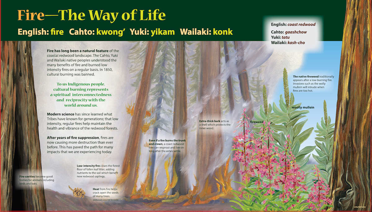 z  New Shady Dell FIRE by Faith Rumm, Image 1.