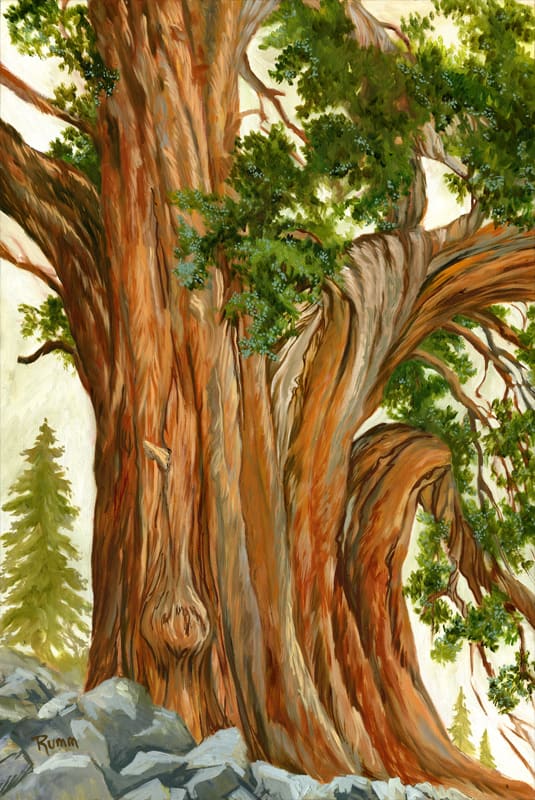 Juniper and Gin Berries by Faith Rumm, Image 1.