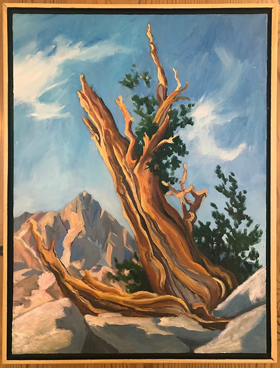 Longevity by Faith Rumm, Image 1.