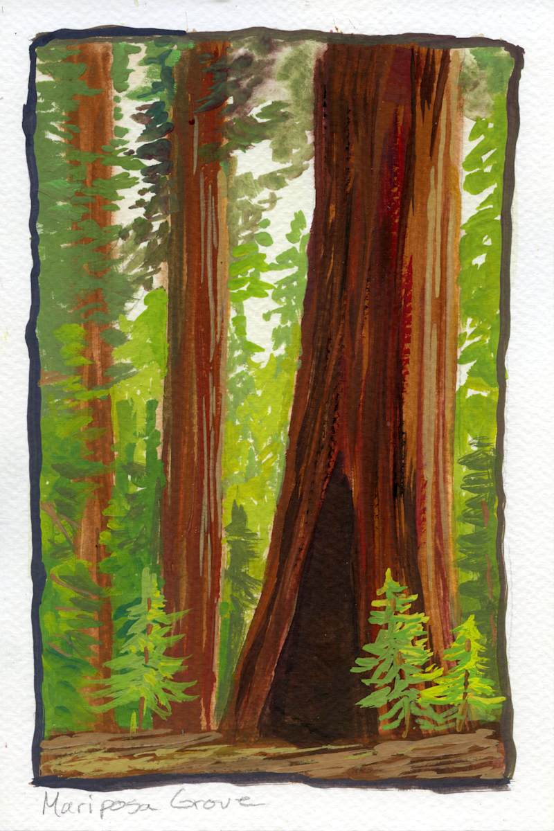 Mariposa Grove by Faith Rumm 