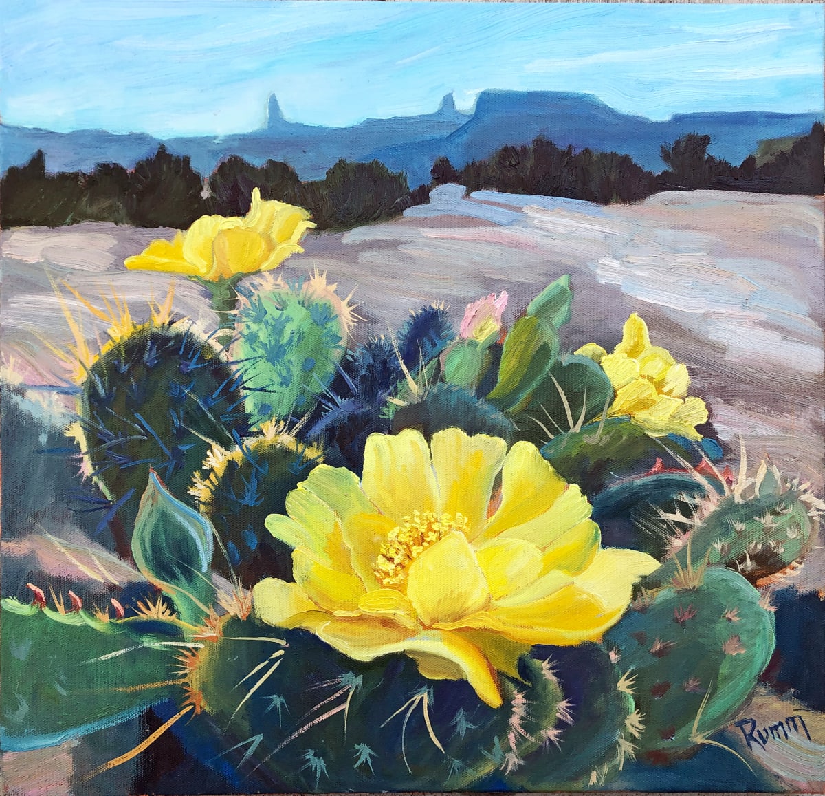 C Prickly Pear 
