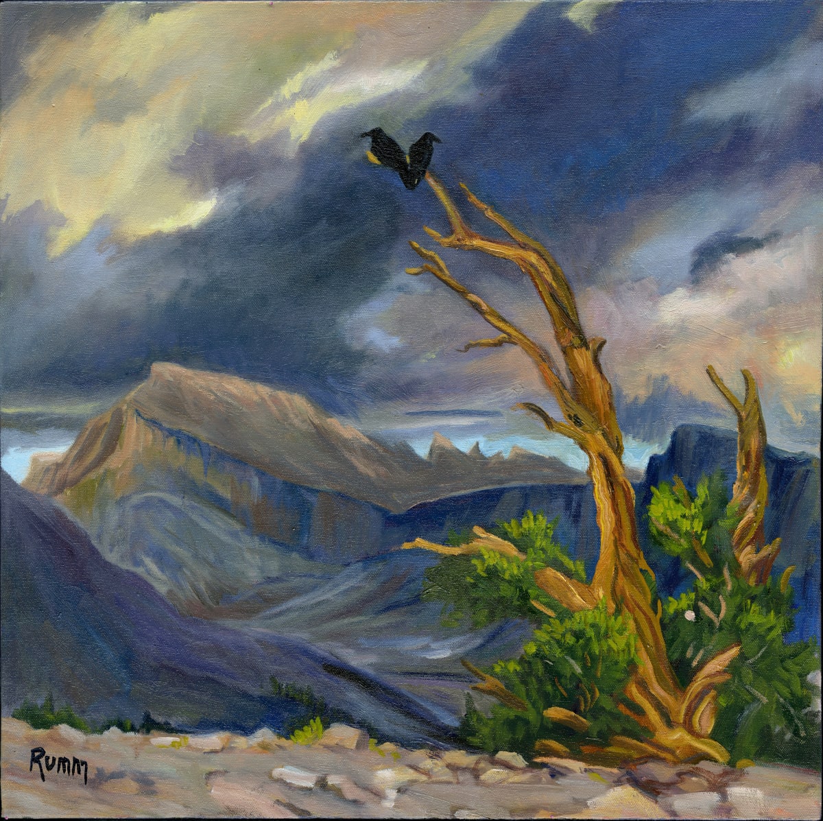 Ravens Roost, Bighorn Plateau 