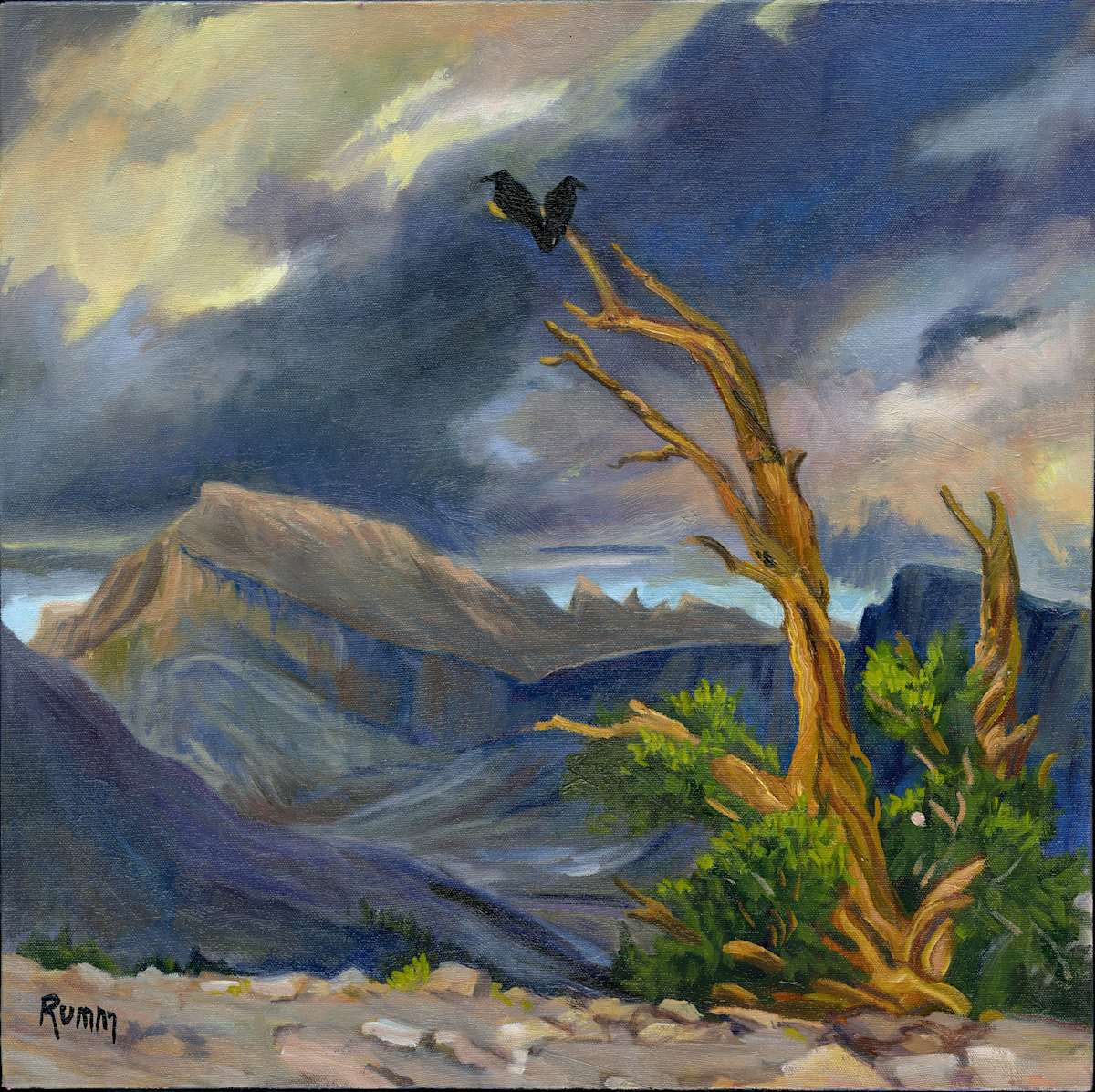 Ravens Roost, Bighorn Plateau by Faith Rumm, Image 1.