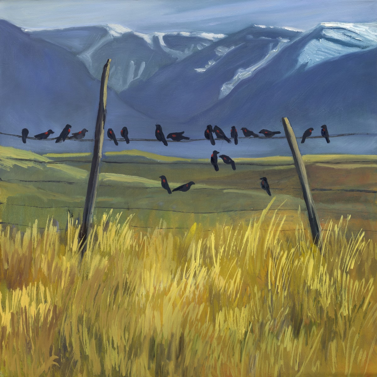 Redwings on the Fence by Faith Rumm 