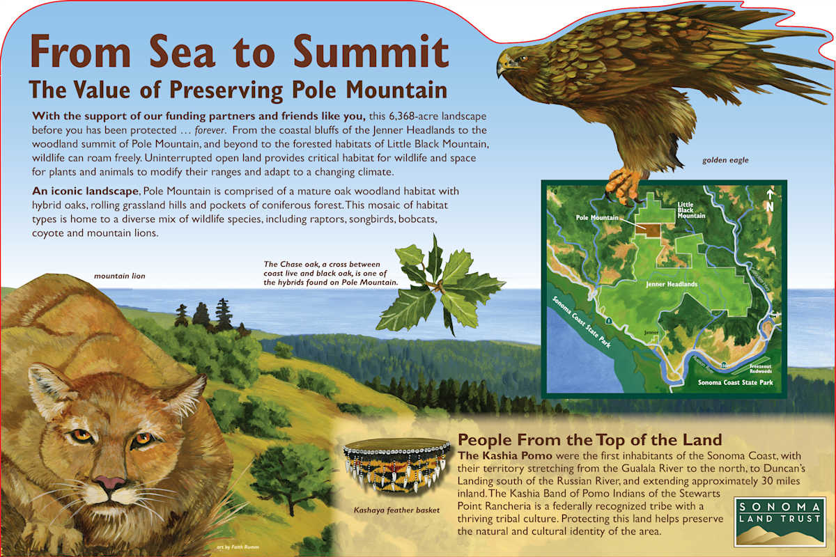 z Pole Mountain, Image 1.