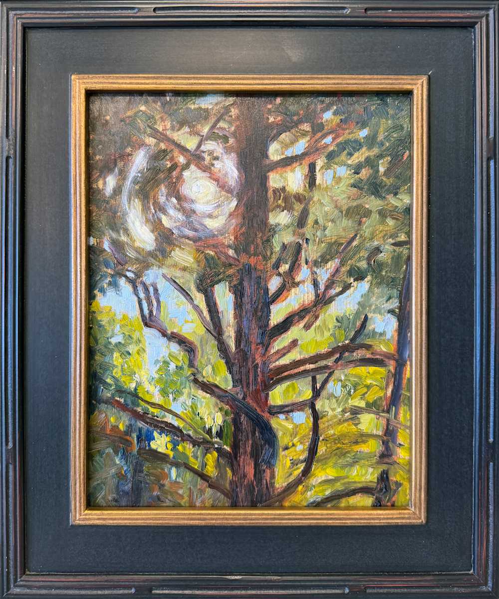 Squinting Through the Trees by Faith Rumm 