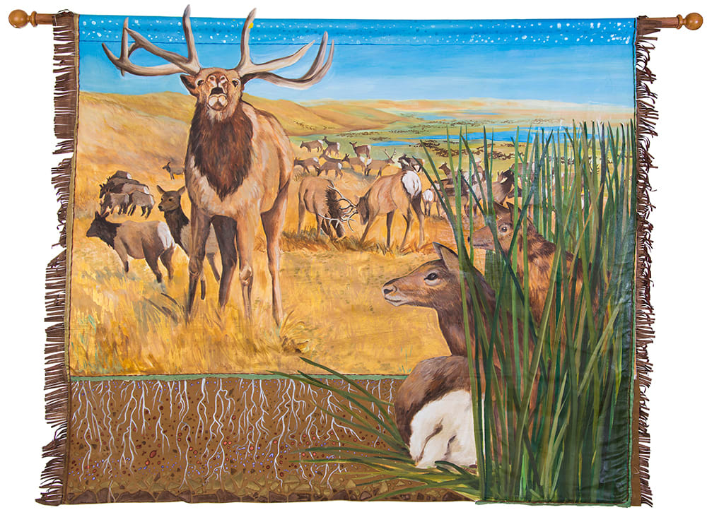 ZT The Way It Was - Tule Elk by Faith Rumm 