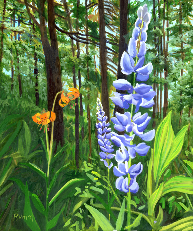Trailside Garden (near Johnson Lake) by Faith Rumm 