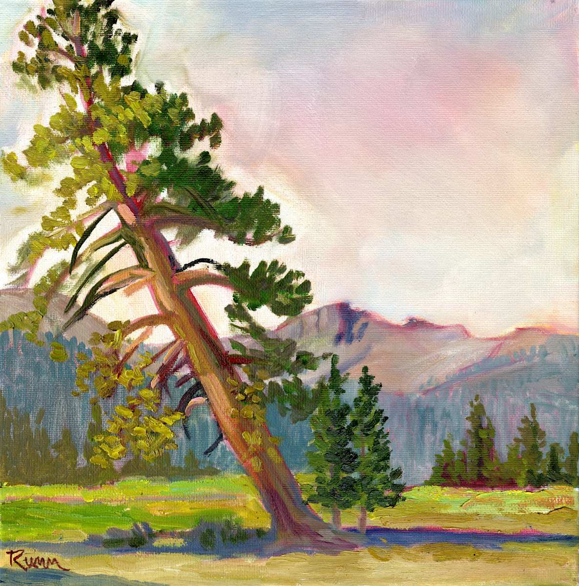 Leaning Tree, Morning by Faith Rumm 