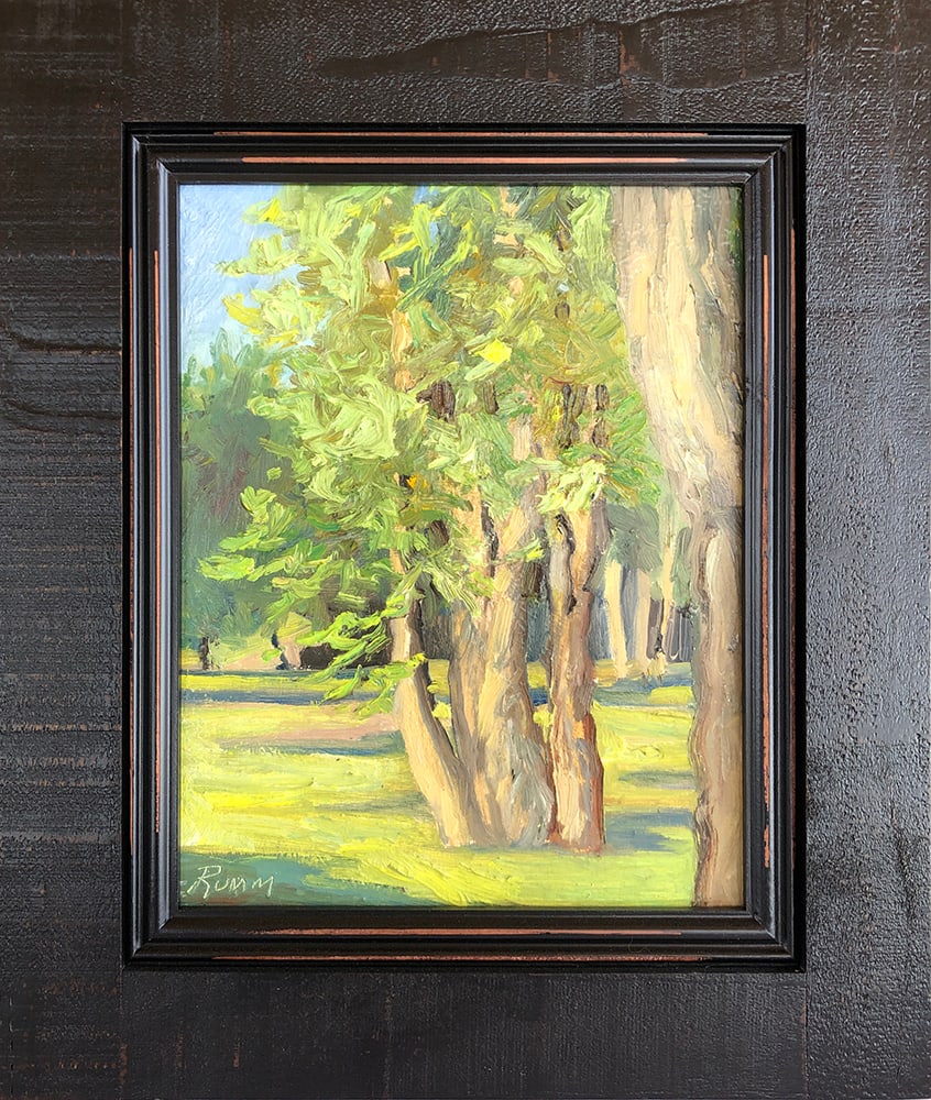 Trees of Sunshine by Faith Rumm 