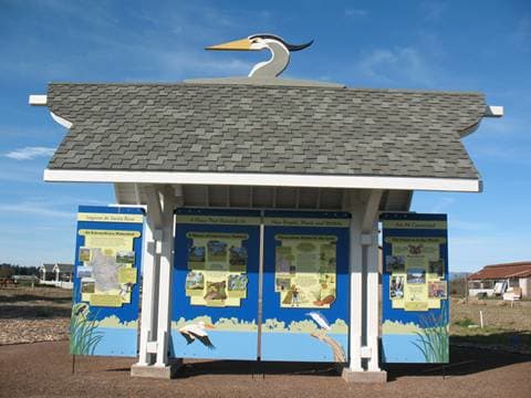 z Laguna, Image 1.
