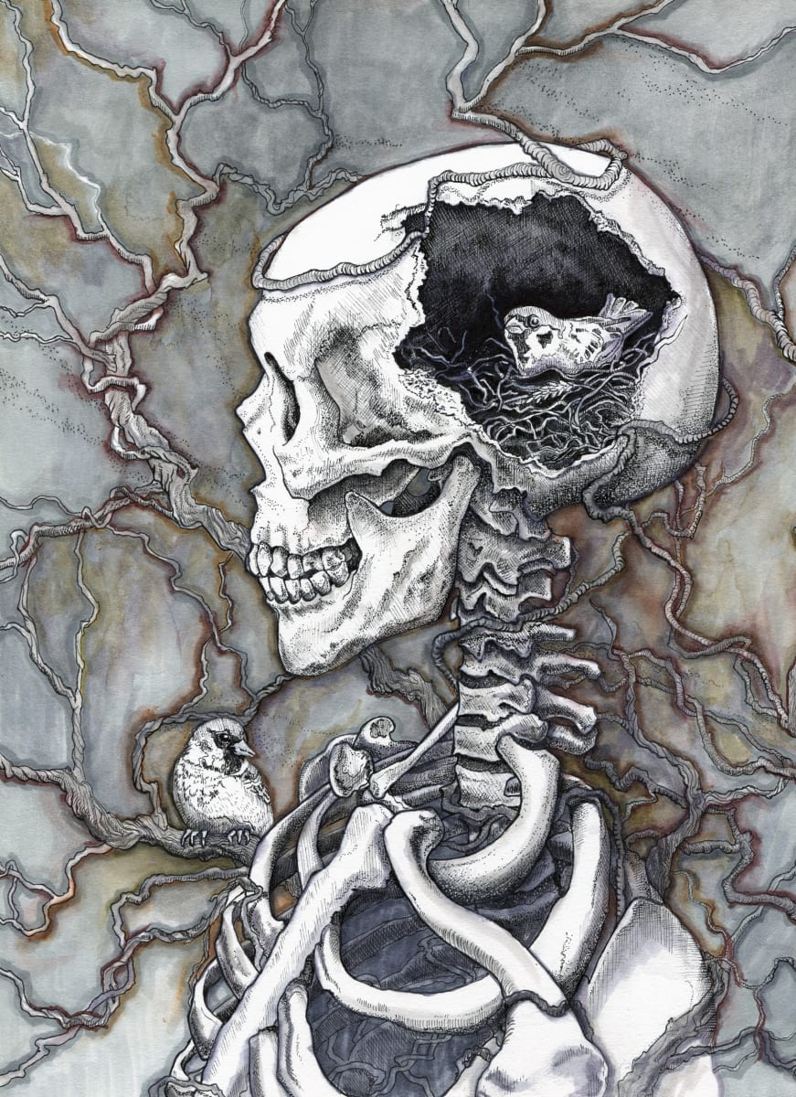 Bird Brain by Julie Peterson Shea  Image: "Embracing My Neurodivergent Mind: A Nest of Perceptions"
In this pen and ink illustration, I present the intricate world inside a skeleton's head. Inspired by a photograph shared by a fellow member of the Beauty of the Dead group on Facebook from a visit to an ossuary. With the photographer’s permission to use their image  I embarked on a journey of artistic interpretation.
Meet Frank, my patient skeleton model, as he embodies the essence of my own neurodivergent experience. Just like the fibers woven together within that bird's nest, my mind is a tapestry of diverse perceptions from various corners of life. Each strand representing a different thought, perspective, or sensation that intertwines to form my unique understanding of the world.
With this illustration, I invite you to glimpse into the intricate maze of my neurodivergent mind, where beauty and peculiarity harmoniously coexist. May it inspire understanding and appreciation for the diverse ways in which we all interpret the world around us.
