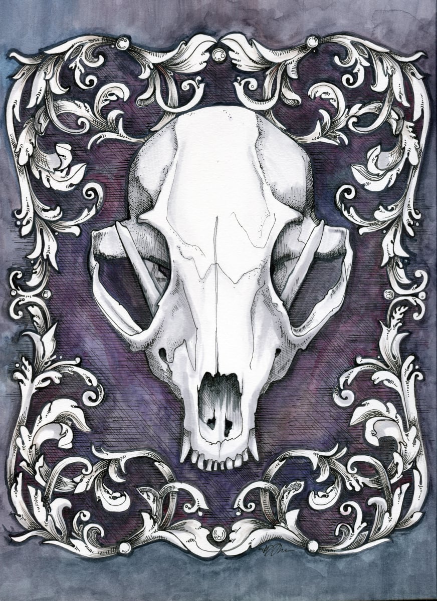 Fox Skull by Julie Peterson Shea 